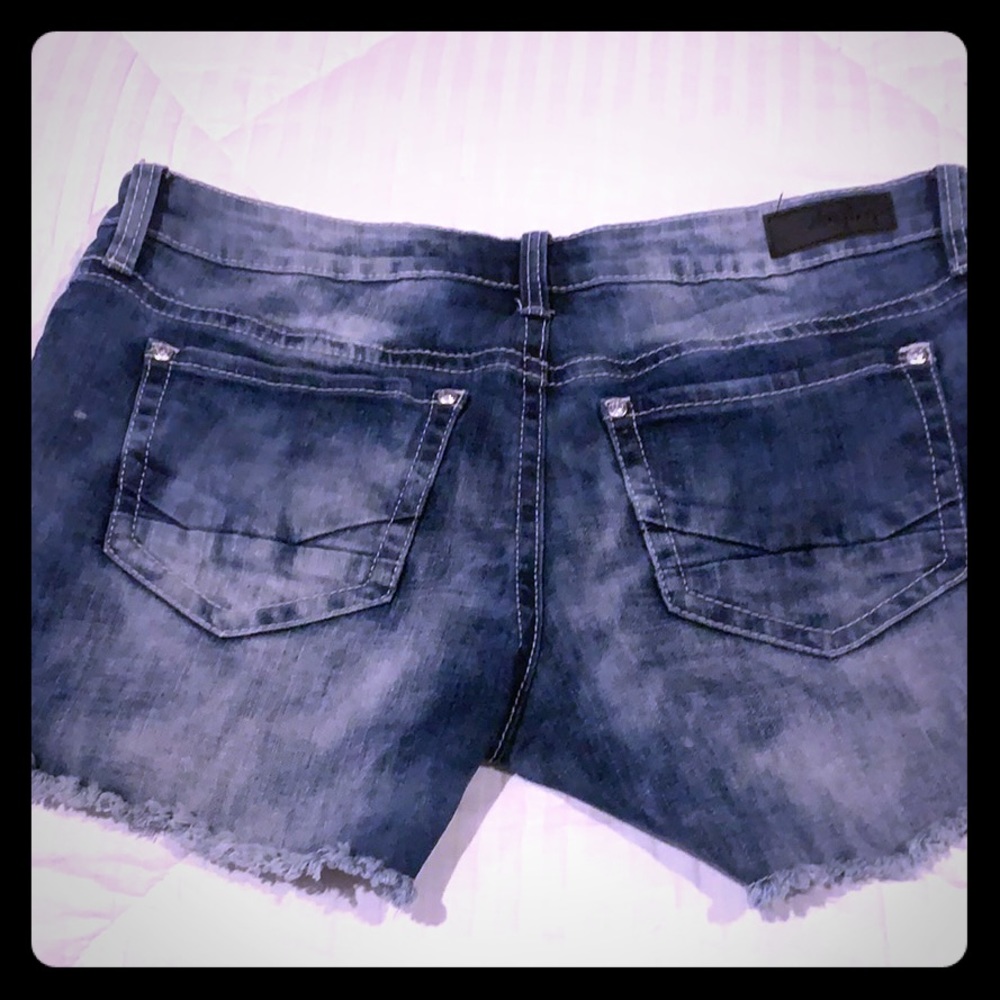 Day trip shorts lynx